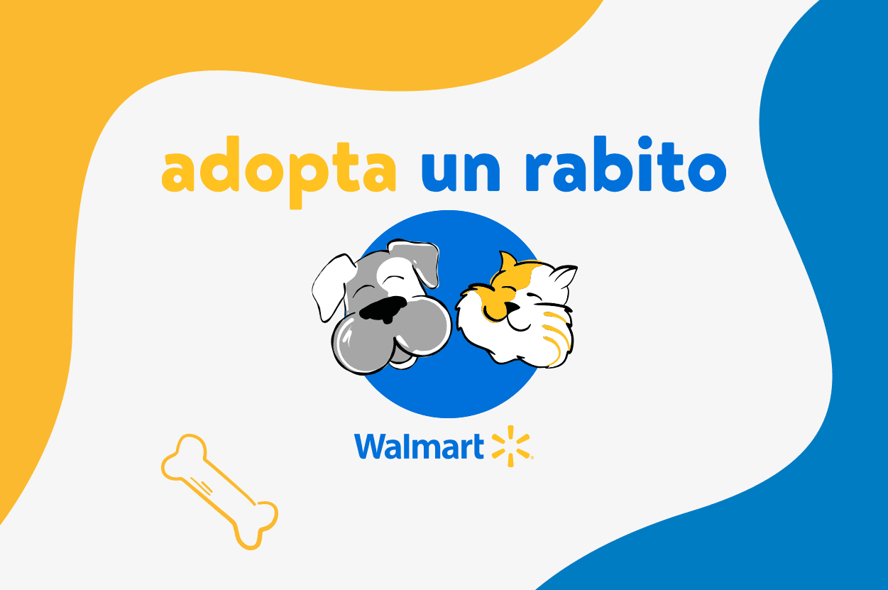 Adopta un Rabito